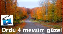 ORDU'YU HİÇ BÖYLE GÖRMEDİNİZ