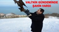 TEDAVİSİ BİTEN ŞAHİNİ DOĞAYA VALİ SALDI