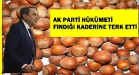 TORUN FINDIK İÇİN MECLİSTE AÇIKLAMA YAPTI