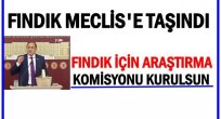 TORUN:FINDIKTA TEKELLEŞME VAR