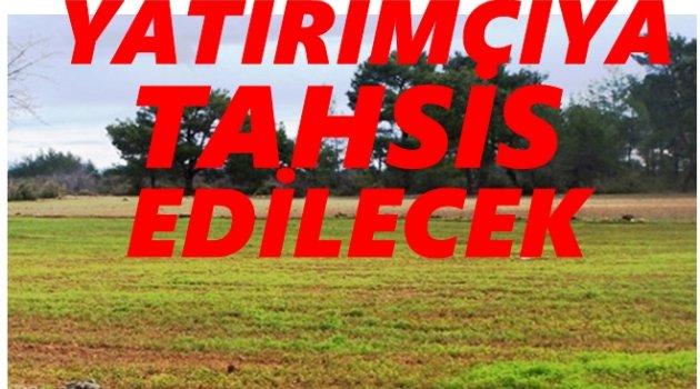 TASİŞ ARAZİSİ 49 YILLIĞINA KİRALANACAK