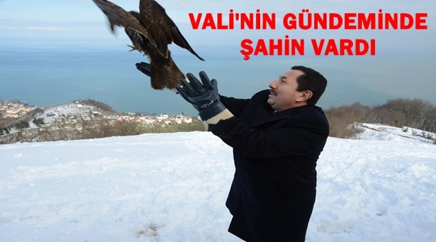 TEDAVİSİ BİTEN ŞAHİNİ DOĞAYA VALİ SALDI