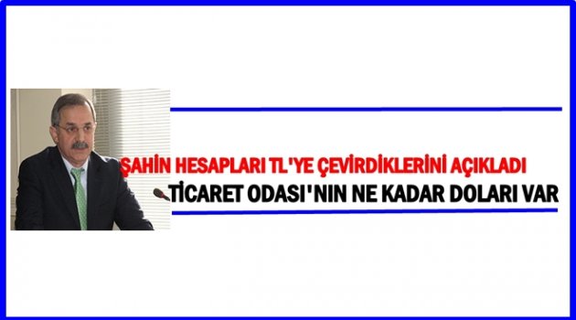 TİCARET ODASI ÜYELERİ GÜRCİSTAN&#039;DA DOLAR KULLANACAK MI?