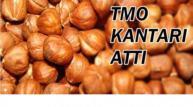 TMO ALIM YAPMASI PİYASAYI ETKİLEMEDİ