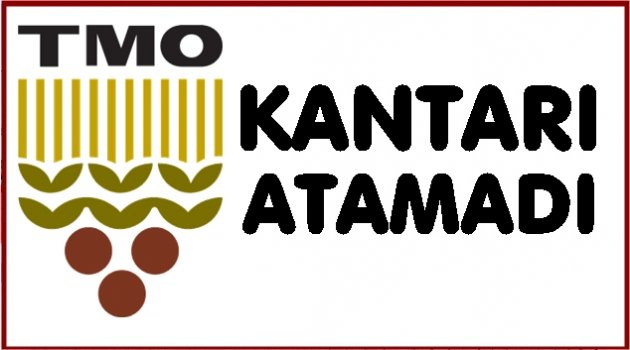 TMO ALIMLARA BAŞLAYAMADI