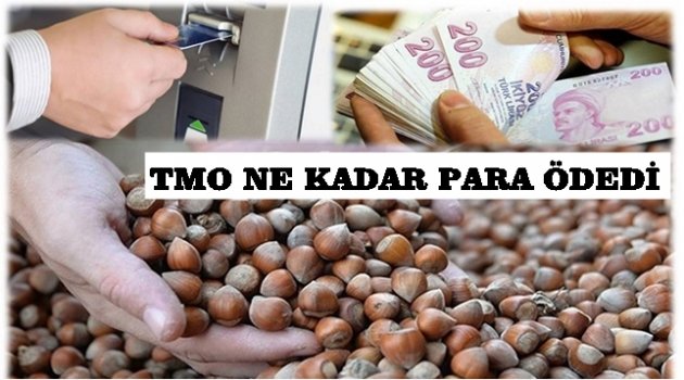 TMO FINDIK ALIMLARINI HIZLANDIRDI