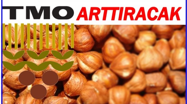 TMO İKİ GÜNDE NE KADAR FINDIK ALDI