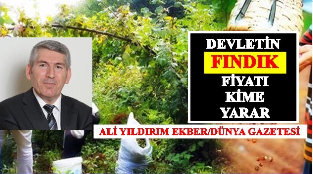 TMO&#039;NUN FINDIK ALIMI PİYASAYI NASIL ETKİLER?
