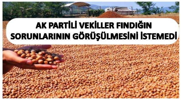 TORUN: AK PARTİLİLERE GÖRE FINDIKTA SORUN YOKMUŞ!
