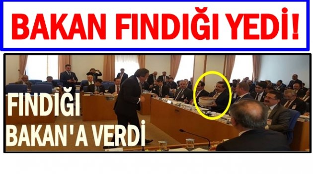 TORUN FINDIĞI GÜNDEME GETİRDİ