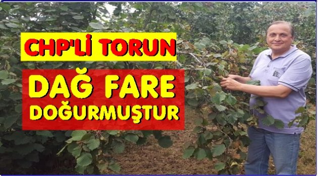 TORUN FINDIK FİYATLARINA TEPKİ GÖSTERDİ