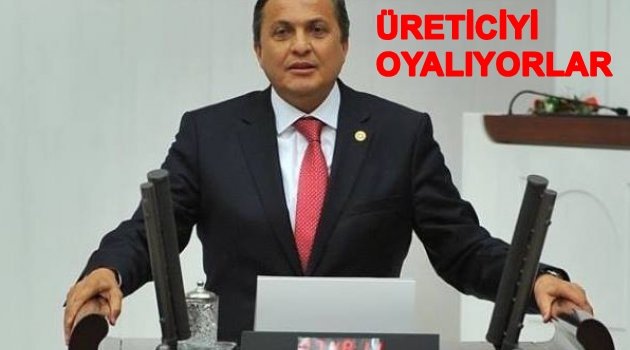 TORUN FINDIK İÇİN KONUŞTU