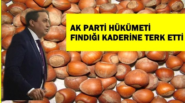 TORUN FINDIK İÇİN MECLİSTE AÇIKLAMA YAPTI