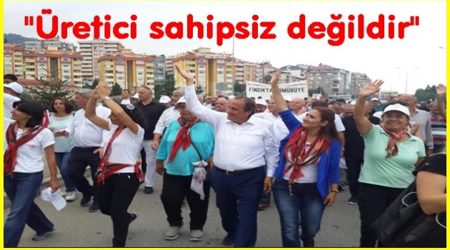 TORUN: FINDIK İÇİN MÜCADELEMİZ SÜRECEKTİR