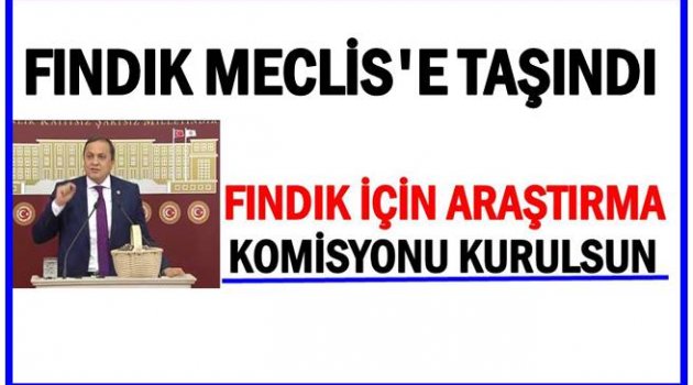 TORUN:FINDIKTA TEKELLEŞME VAR