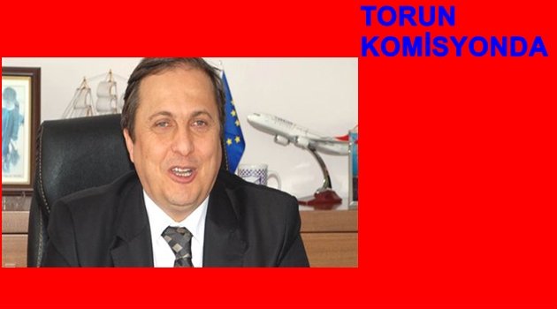 TORUN HANGİ KOMİSYONA SEÇİLDİ