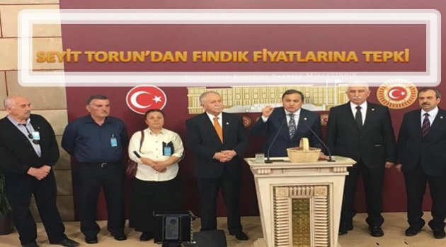 TORUN: HÜKUMET OYUNU SADECE SEYREDİYOR