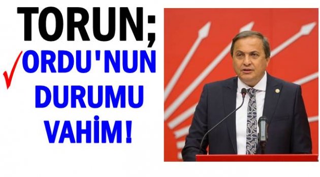 TORUN MECLİSTE KONUŞTU: ÜRETİCİ SAHİPSİZ,ESNAF MAĞDUR