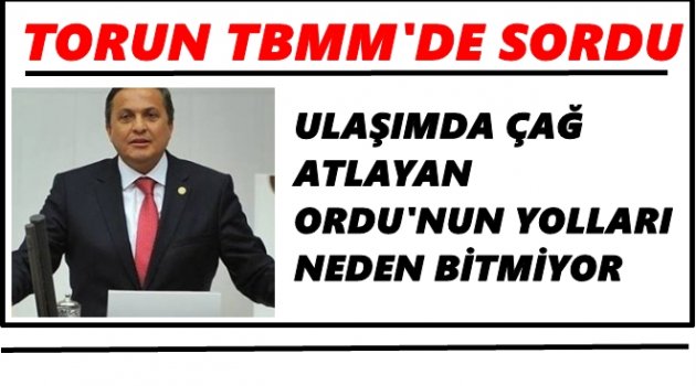 TORUN ORDU&#039;NUN SORUNLARINI ANLATTI