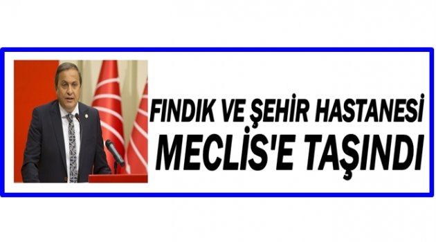 TORUN&#039;DAN SORU ÖNERGESİ