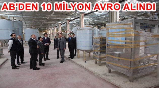 TÜRKİYE&#039;DE SADECE ORDU&#039;DA BULUNUYOR