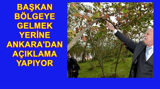 TZOB BAŞKANI FINDIĞA MÜDAHALE İSTEDİ