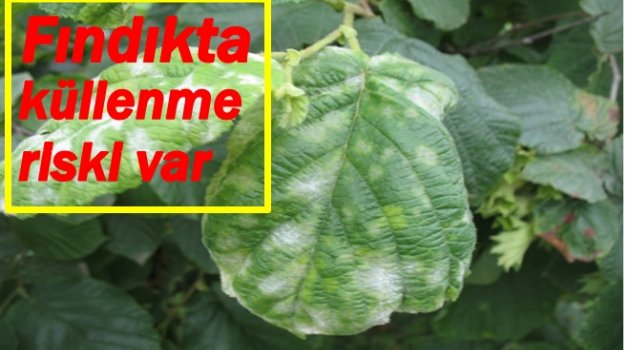 ÜRETİCİLER  UYARILDI