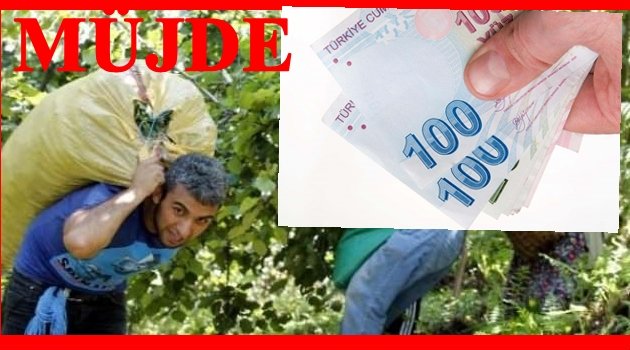 ÜRETİCİYE ÖDENECEK DESTEK MİKTARI BELLİ OLDU