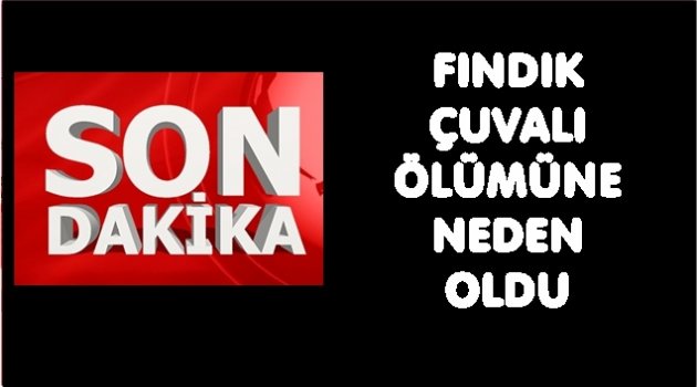 ÜZERİNE FINDIK ÇUVALI DÜŞEN İŞÇİ ÖLDÜ