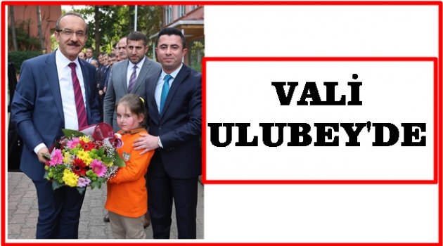 VALİ YAVUZ ULUBEY&#039;DE İNCELEMELERDE BULUNDU