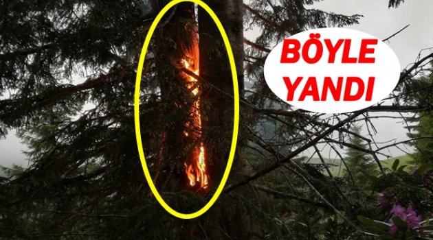 YAĞIŞLI HAVA NE KADAR DAHA SÜRECEK