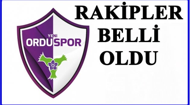 YENİ ORDUSPOR 3. LİG 2.GRUPTA YER ALDI