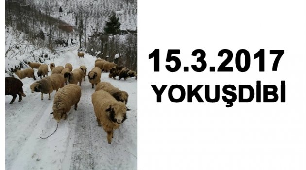 YÜKSEKLERDE KAR VAR