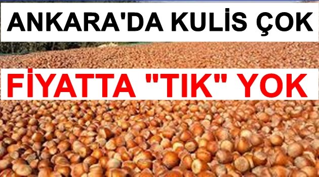 ZİRAAT ODALARI VE MUHALEFET FINDIK İÇİN BASTIRIYOR