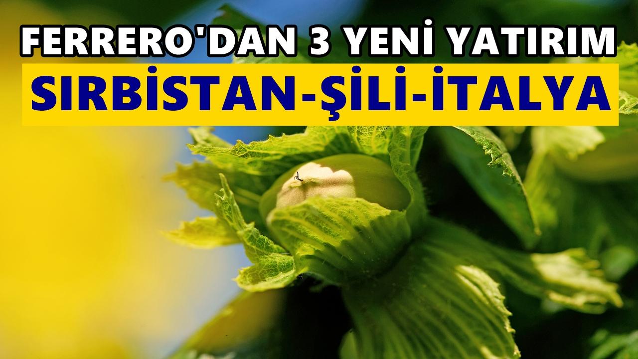 Ferrero, fındıkta yeni üretim üssü arayışında: rotasında Sırbistan ve Şili var