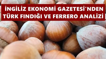 Financial Times: Türk fındığında üretim düştü, Ferrero alımları kıstı