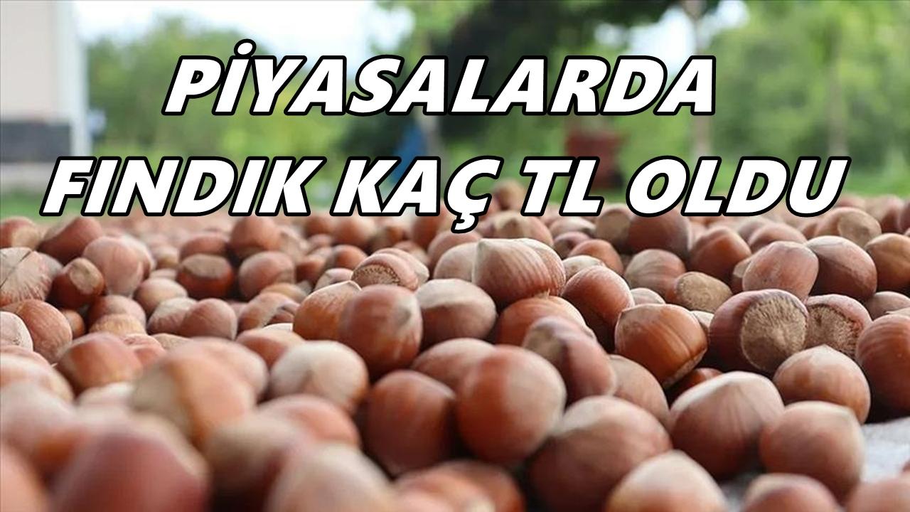 Fındık Fiyatı 29 Ekim 2025 Çarşamba