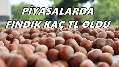 Fındık Fiyatı 29 Ekim 2025 Çarşamba