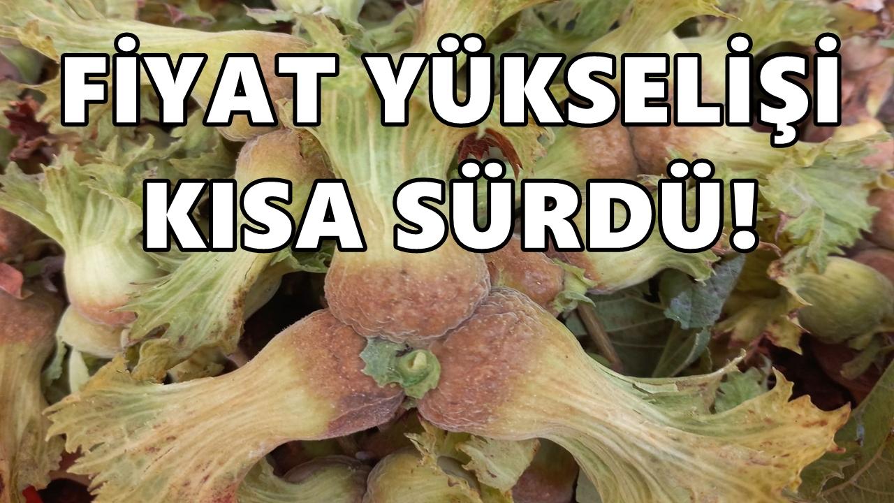 Fındık Fiyatı Ekim’de 45 TL Düştü