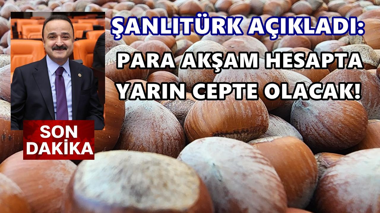 Fındık Üreticisine Müjde! Zirai Don Paraları Yarın ATM’de, Pazartesi Bankada