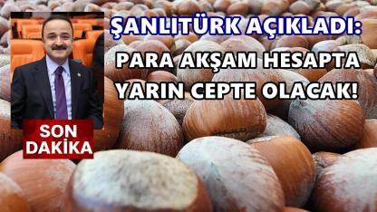 Fındık Üreticisine Müjde! Zirai Don Paraları Yarın ATM’de, Pazartesi Bankada