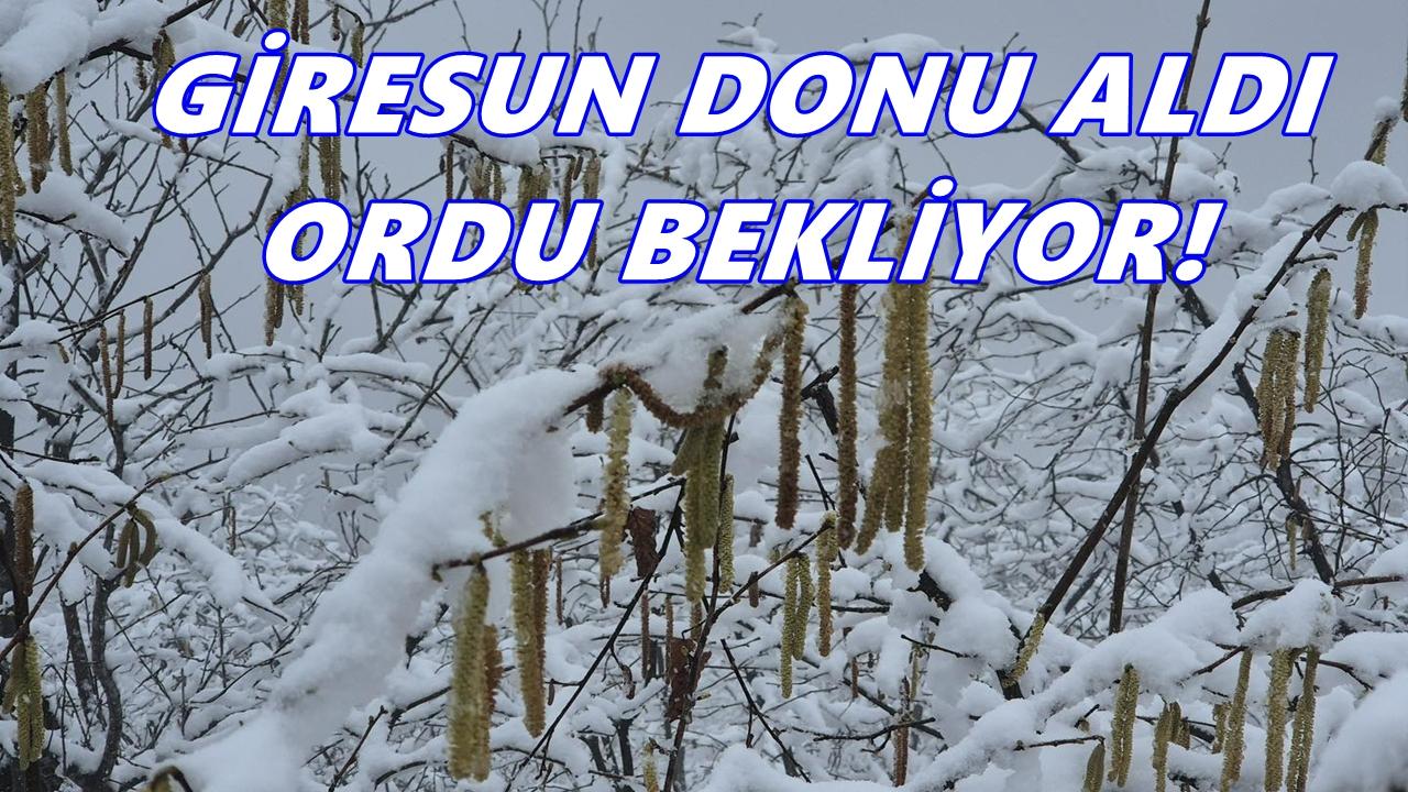 Giresun aldı, Ordu bekliyor!