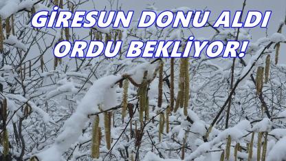 Giresun aldı, Ordu bekliyor!