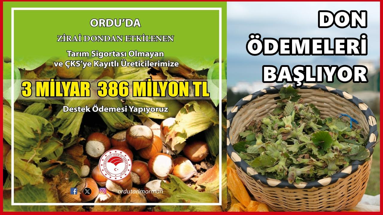 Ordu’da Dondan Zarar Gören Çiftçilere 3,3 Milyar TL Ödeme Yapılacak