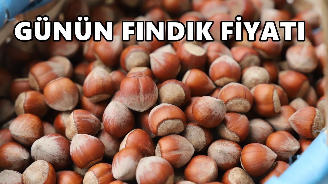 Ordu&#039;da Fındık Fiyatı 31 Ekim 2025 Cuma
