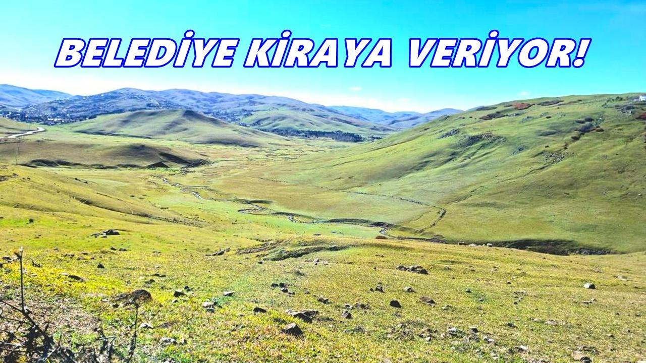 Perşembe Yaylası’ndaki Mesire Alanı ve Kafeterya Kiraya Çıkıyor
