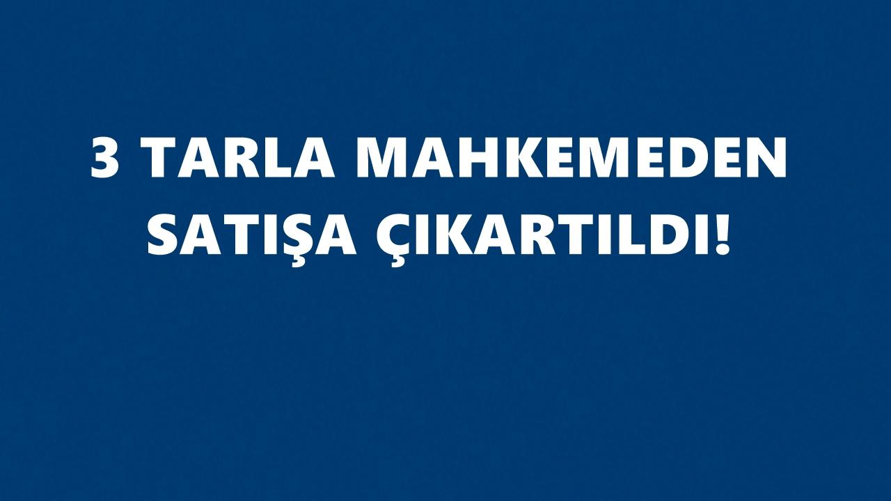 Ardanuç’ta üç tarla icradan satışa çıkıyor