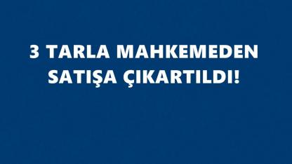 Ardanuç’ta üç tarla icradan satışa çıkıyor