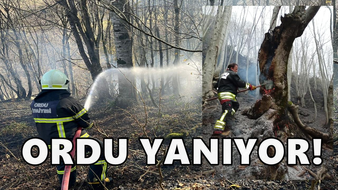 Bahçe Temizlikleri Sonrası Ordu’da 40 Yangın Çıktı