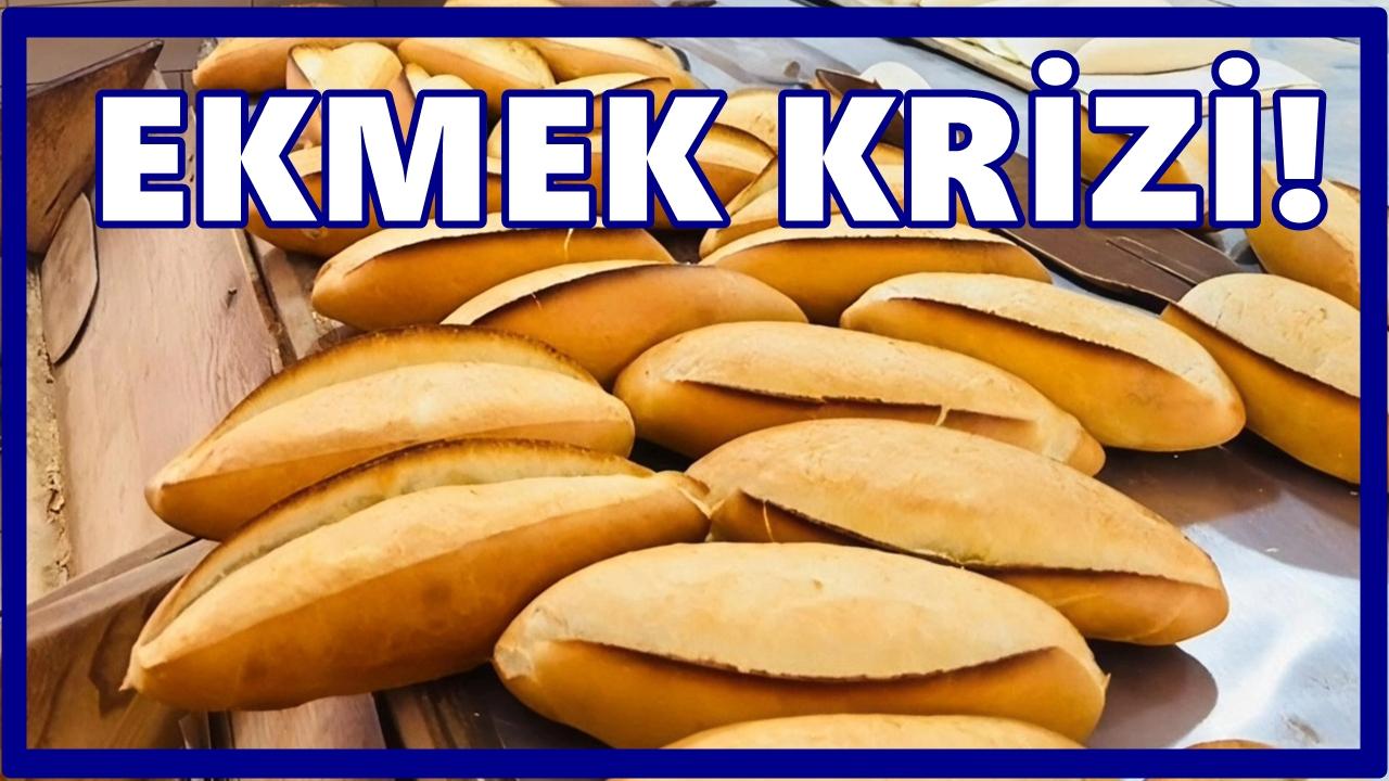 Fatsa’da Pazar Günü Ekmek Krizi: Fırınlar Kapalı, Vatandaş Mağdur